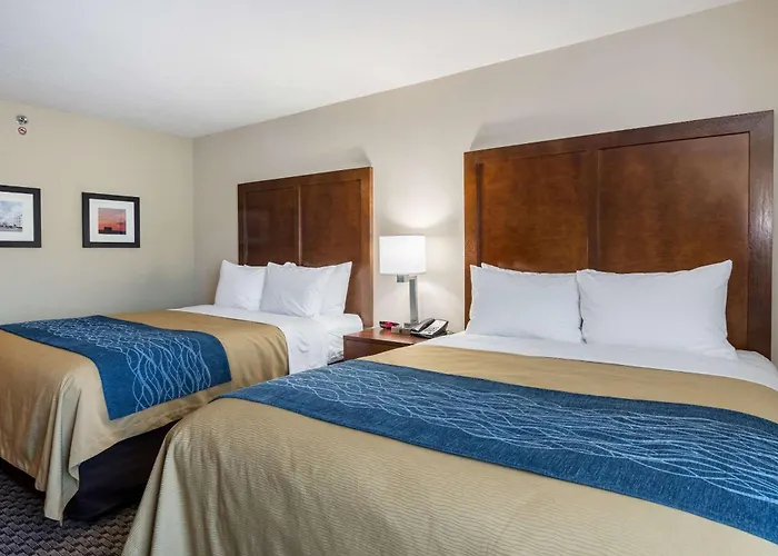 Comfort - St Louis Edwardsville