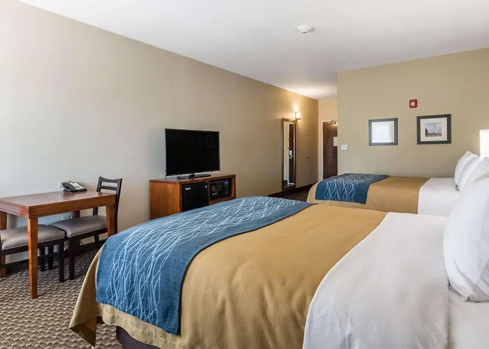 Comfort - St Louis 4*
