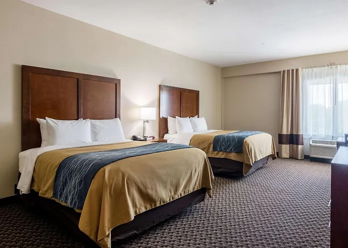 Comfort - St Louis Edwardsville