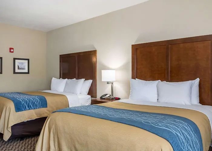 Comfort - St Louis 4*