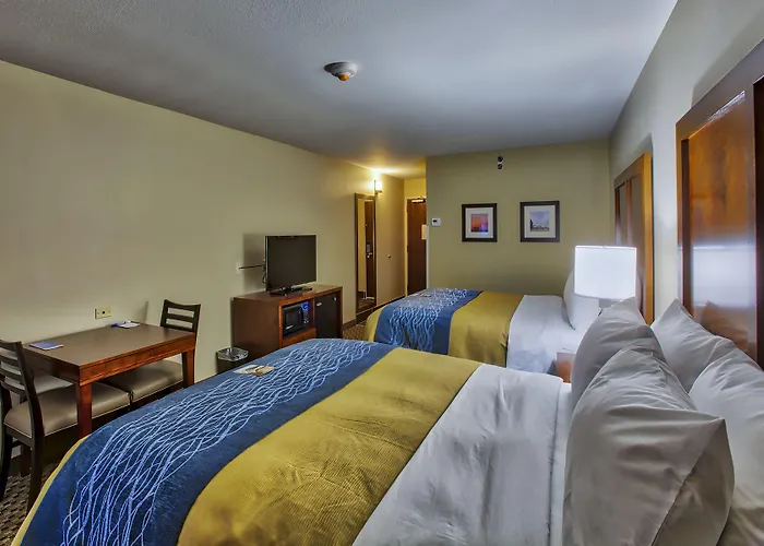Pensão Comfort - St Louis 4*