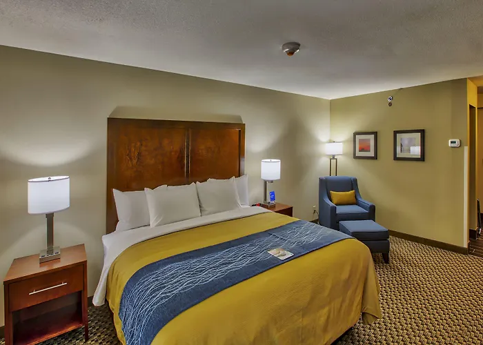 Comfort - St Louis Pensão 4*