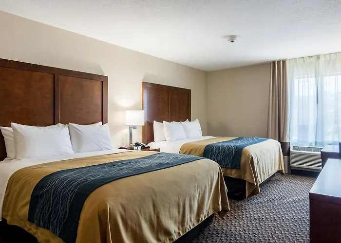 Comfort - St Louis Inn