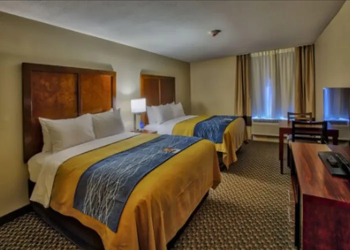Comfort - St Louis 4*