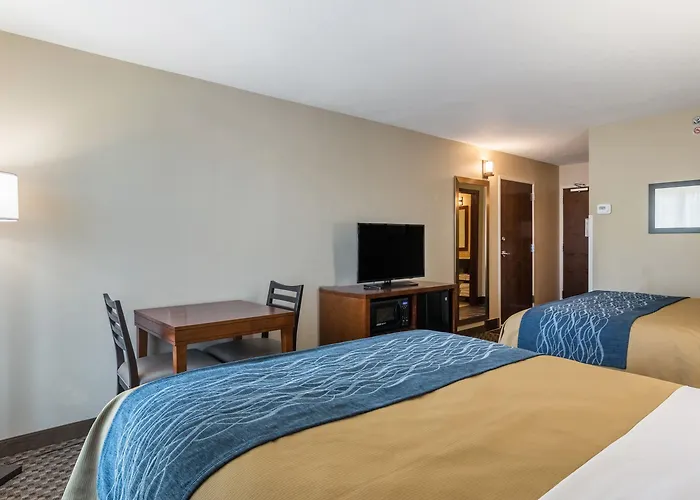 Comfort - St Louis 4*