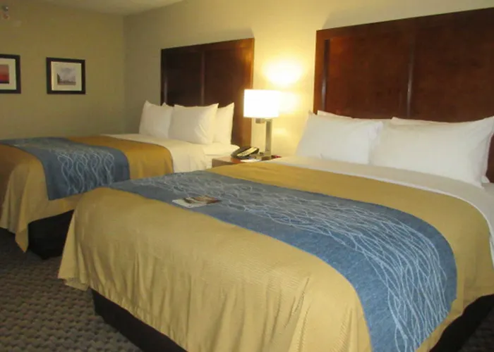 Comfort - St Louis 4*