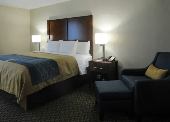 Comfort - St Louis Pensão Edwardsville