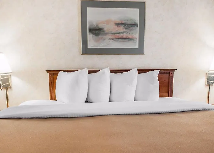 Comfort - St Louis Edwardsville