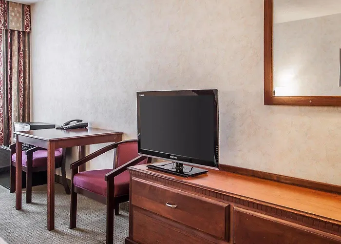 Comfort - St Louis 4*