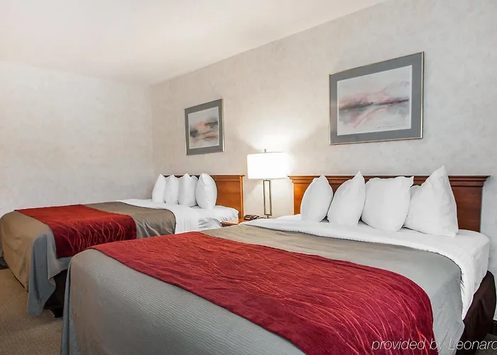 Comfort - St Louis Edwardsville